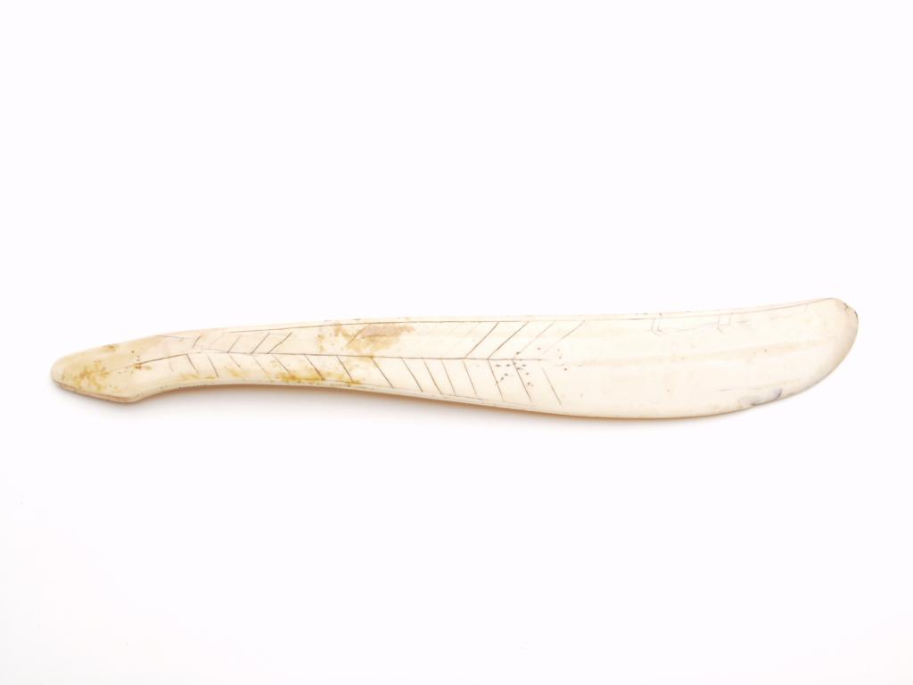 ivory