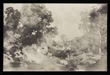 Photograph of Thomas Moran's painting of a Long Island landscape