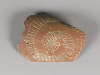 Red ceramic sherd with unmodified rim and incised geometric design